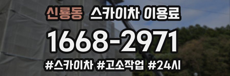 신룡동 스카이차 이용료