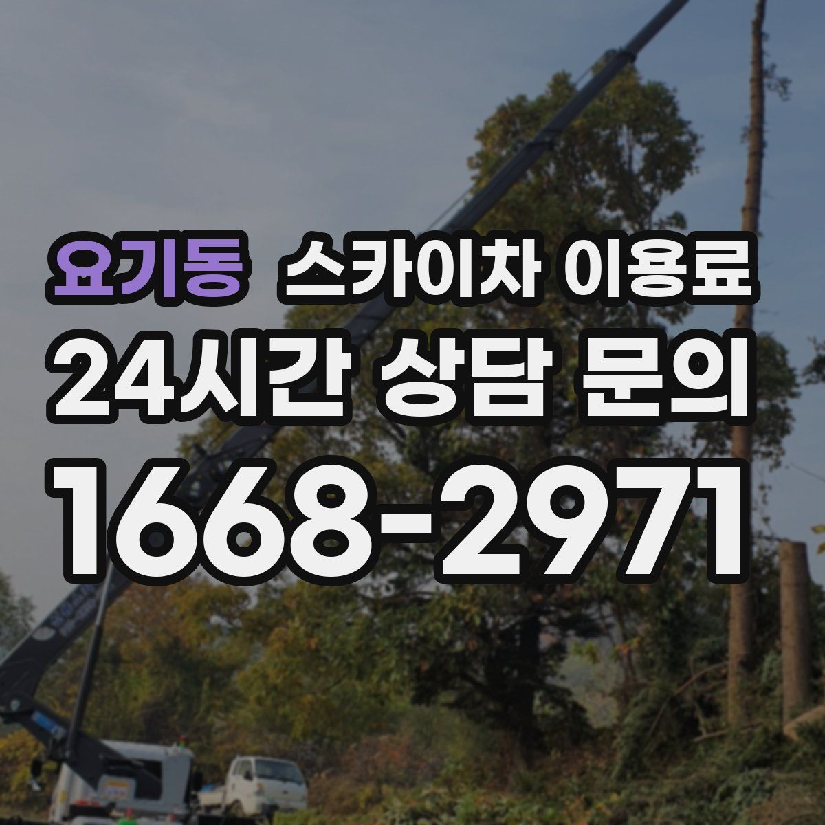 요기동 스카이차 이용료