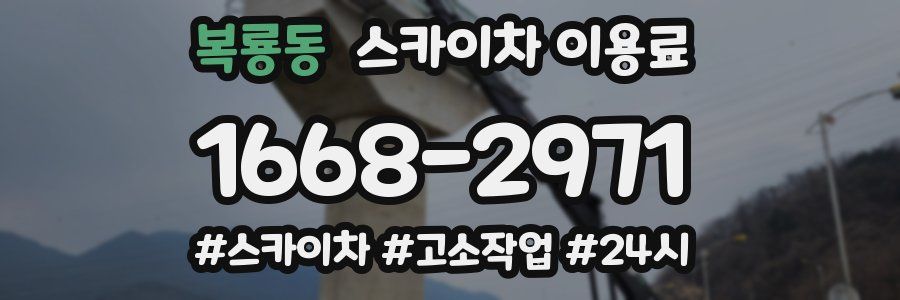 복룡동 스카이차 이용료