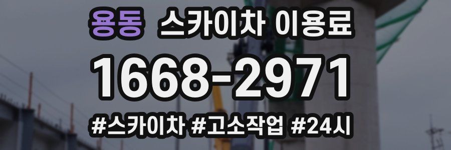 용동 스카이차 이용료