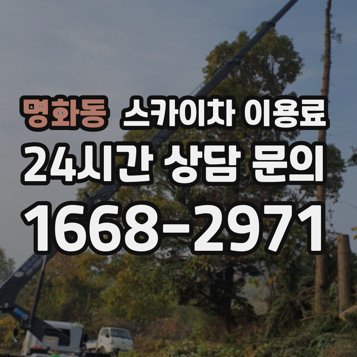 명화동 스카이차 이용료