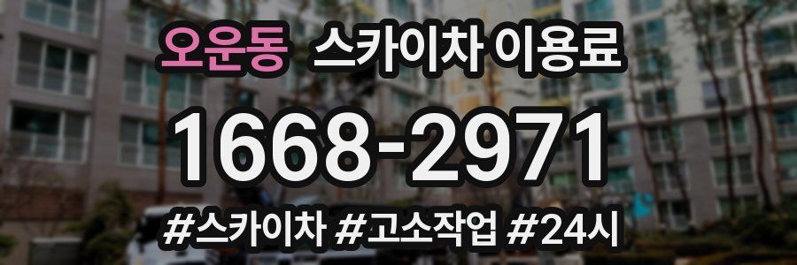 오운동 스카이차 이용료