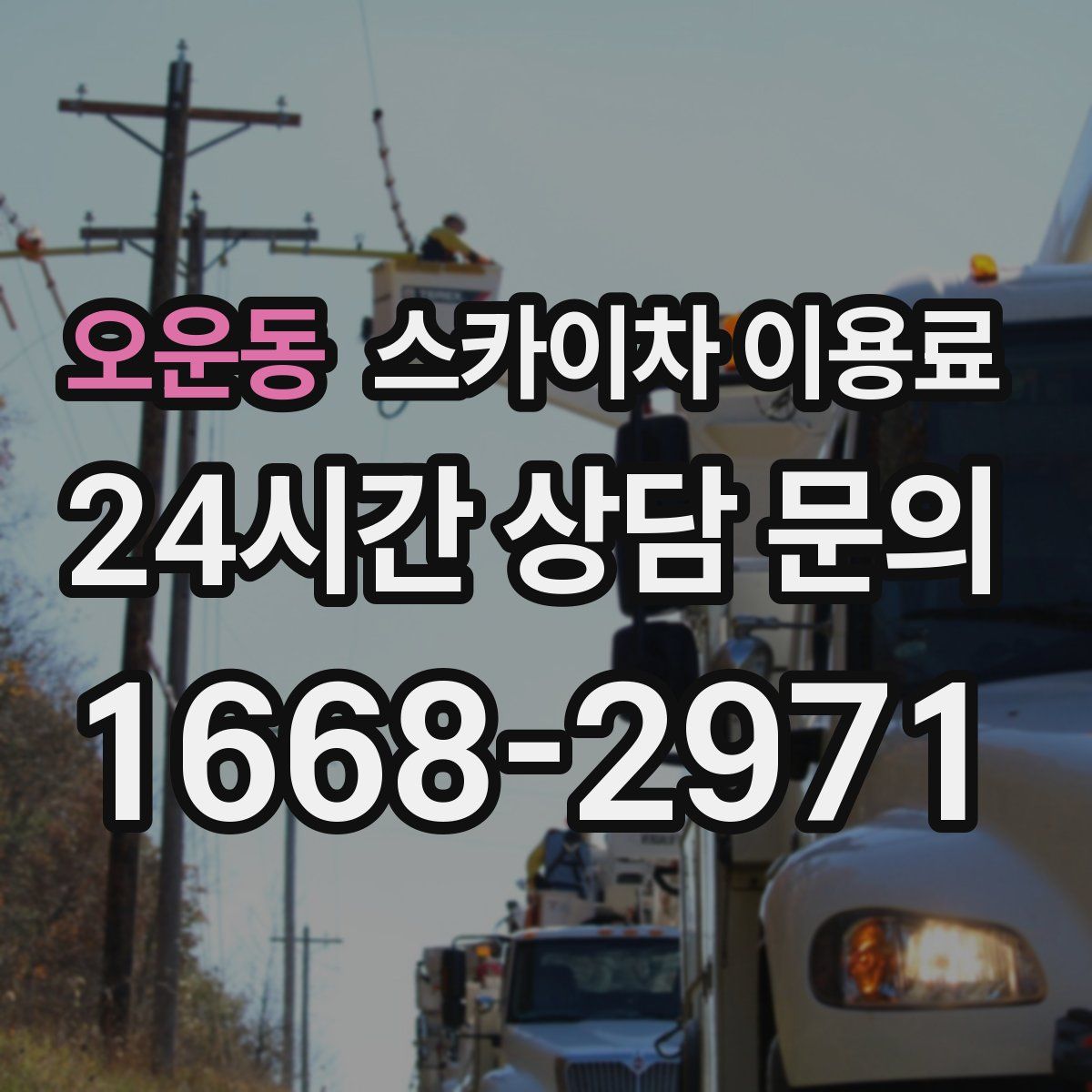 오운동 스카이차 이용료
