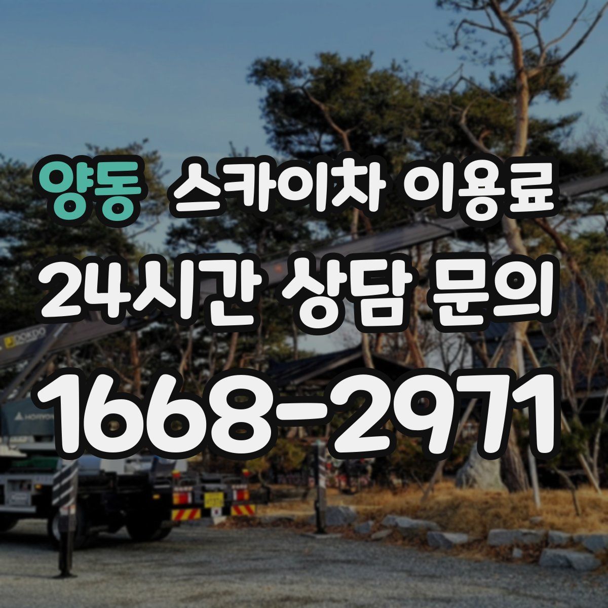 양동 스카이차 이용료