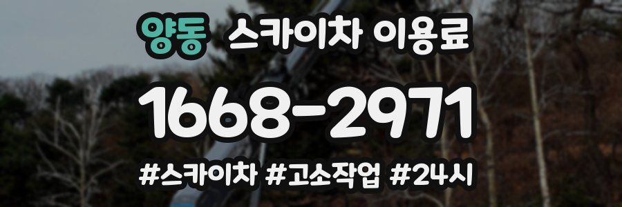 양동 스카이차 이용료