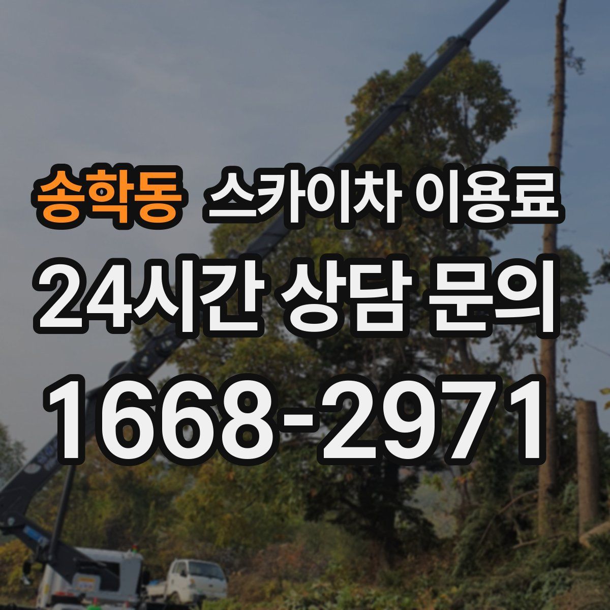 송학동 스카이차 이용료