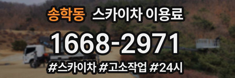 송학동 스카이차 이용료