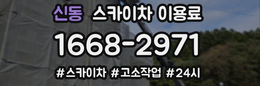 신동 스카이차 이용료