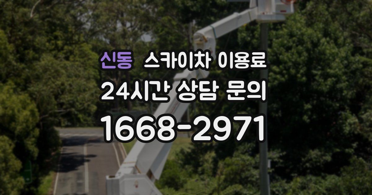 신동 스카이차 이용료