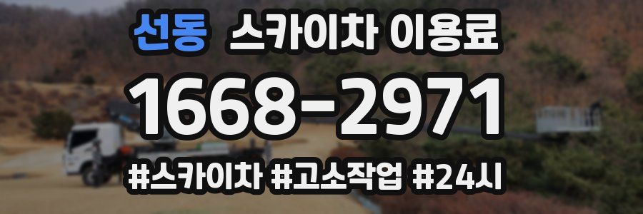 선동 스카이차 이용료
