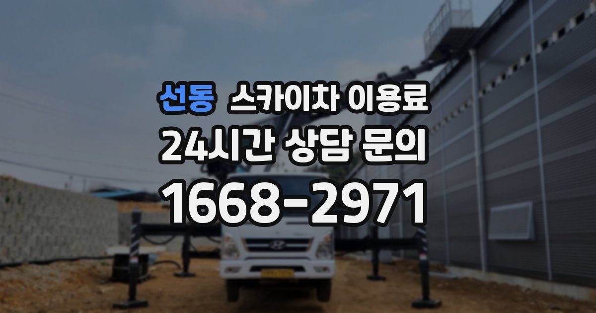 선동 스카이차 이용료