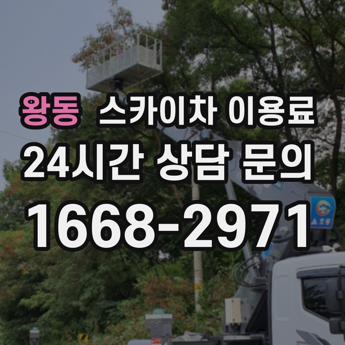 왕동 스카이차 이용료