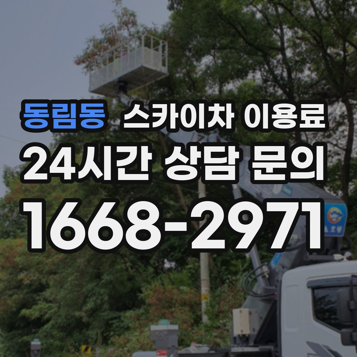 동림동 스카이차 이용료