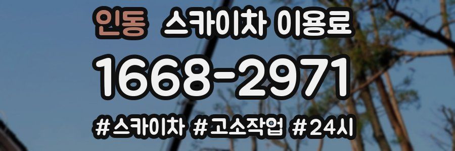 인동 스카이차 이용료