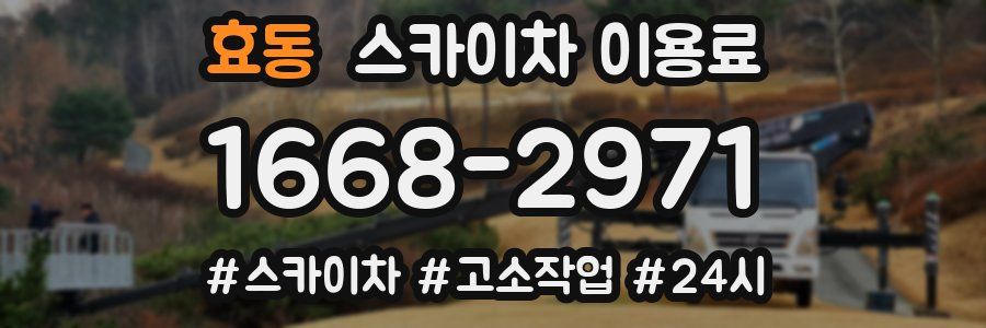 효동 스카이차 이용료