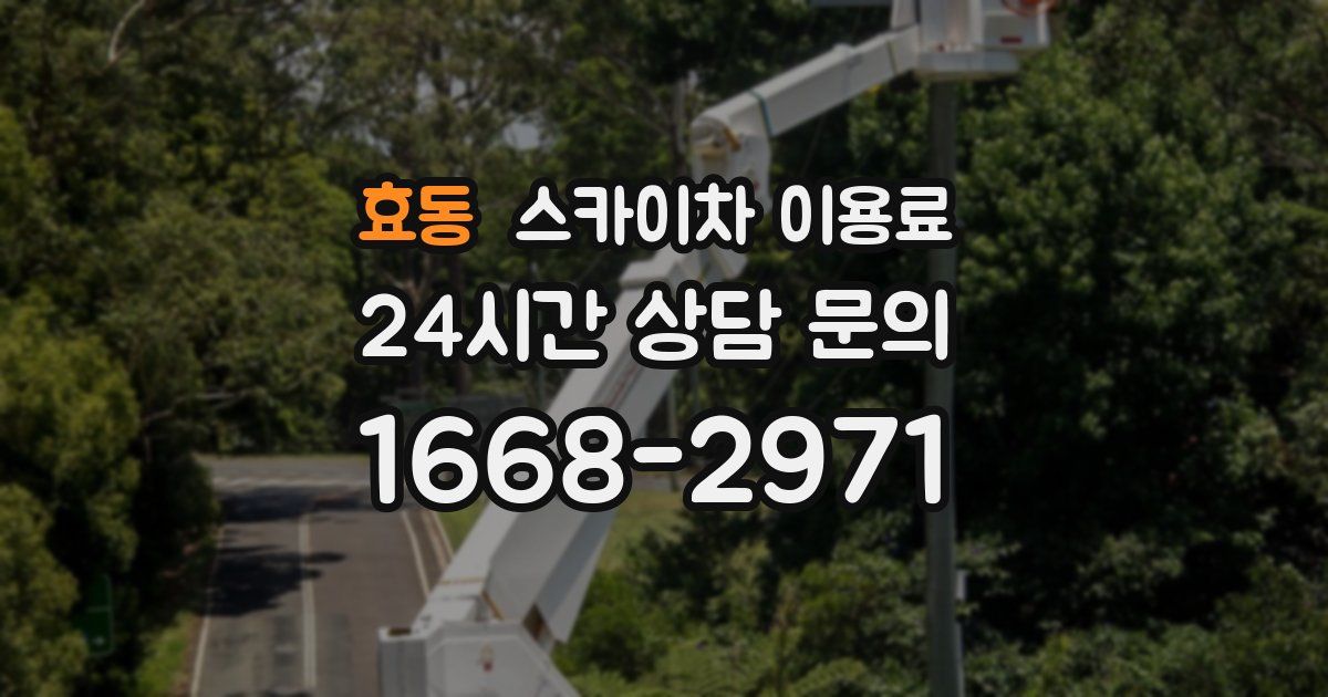 효동 스카이차 이용료
