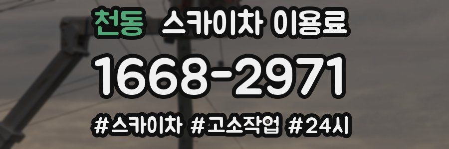 천동 스카이차 이용료