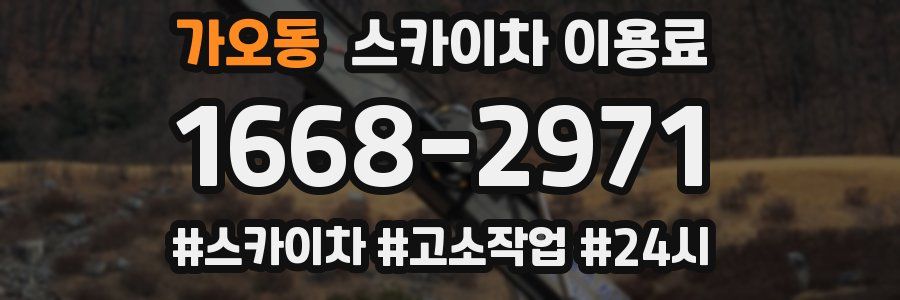 가오동 스카이차 이용료
