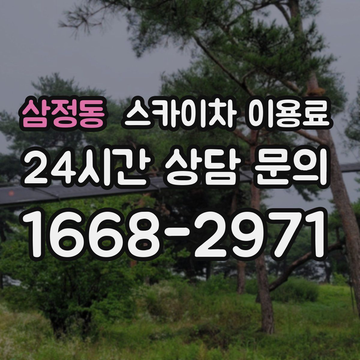 삼정동 스카이차 이용료