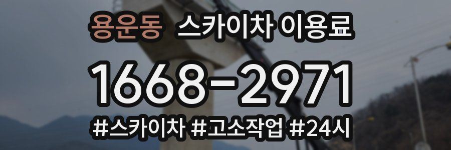 용운동 스카이차 이용료