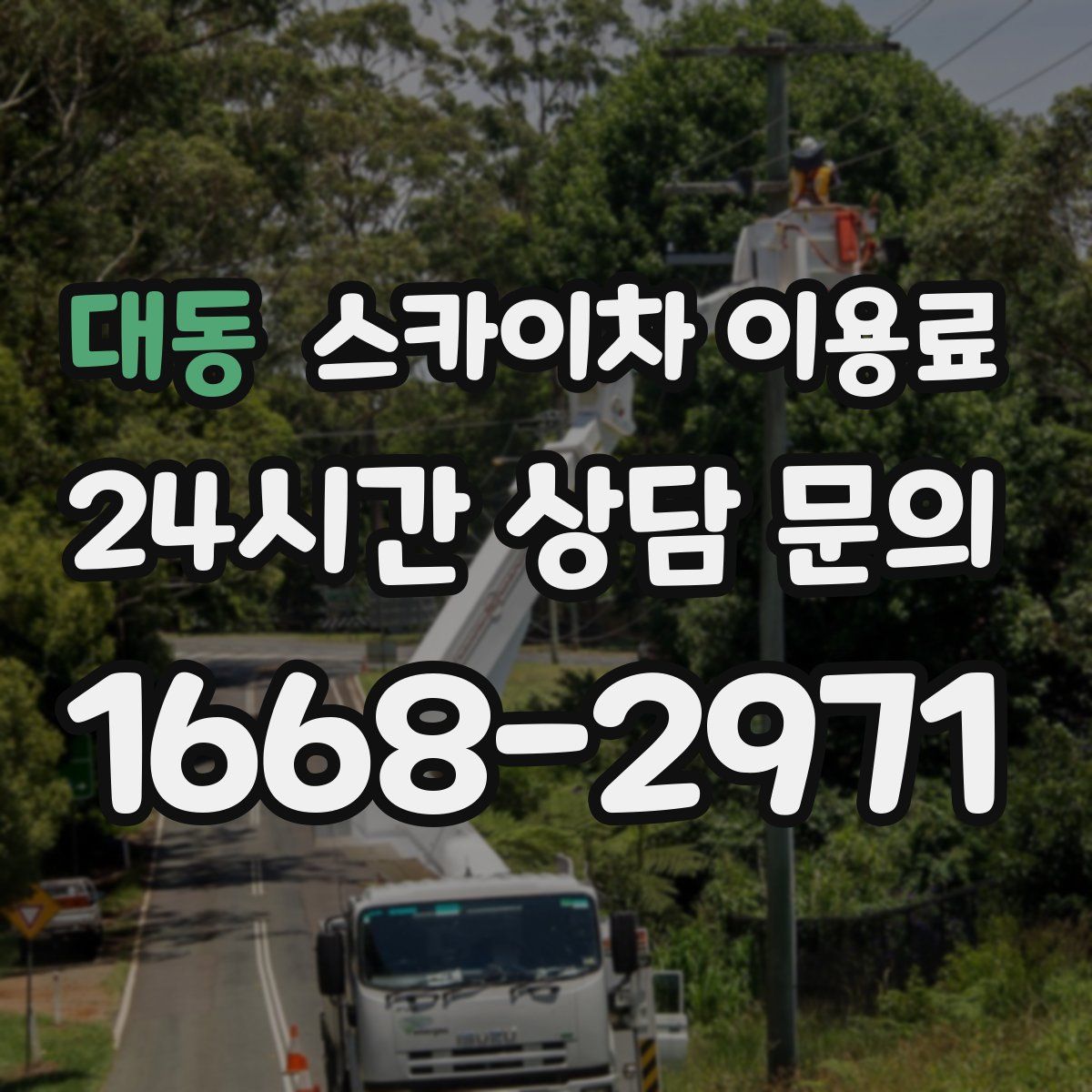 대동 스카이차 이용료