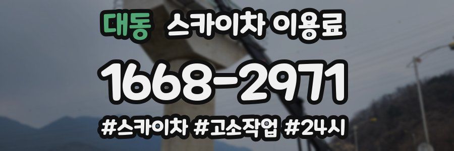 대동 스카이차 이용료