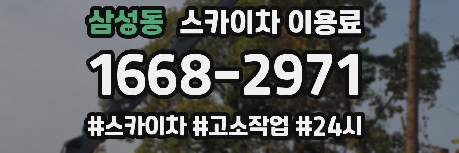 삼성동 스카이차 이용료