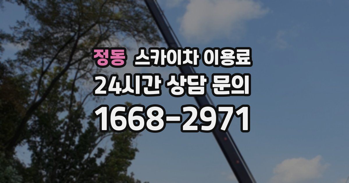정동 스카이차 이용료
