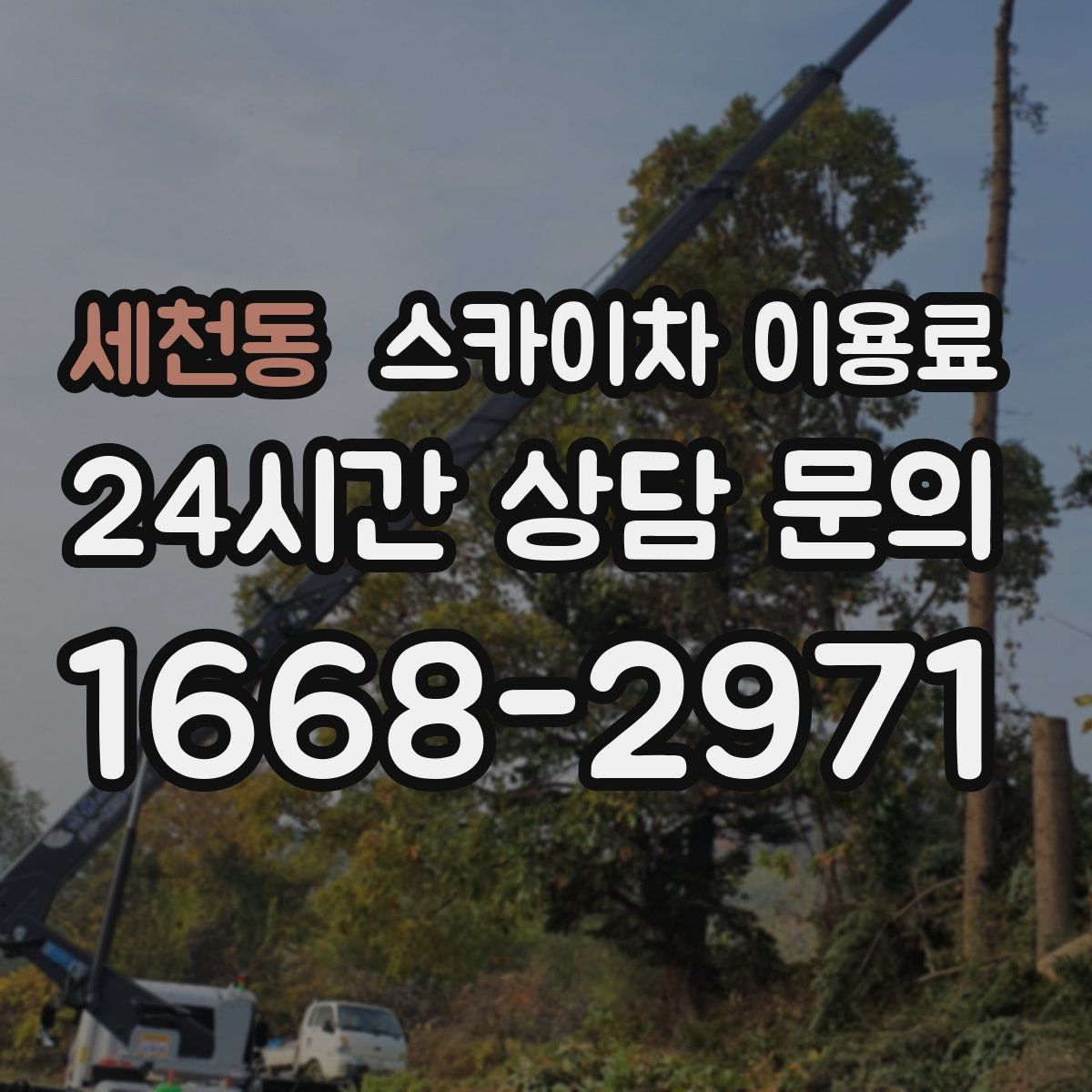 세천동 스카이차 이용료