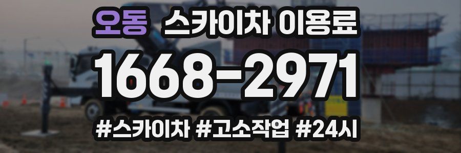 오동 스카이차 이용료