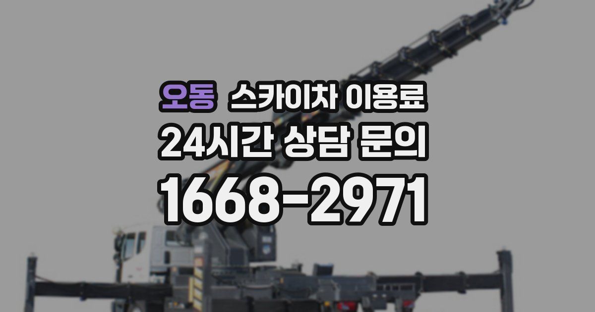 오동 스카이차 이용료