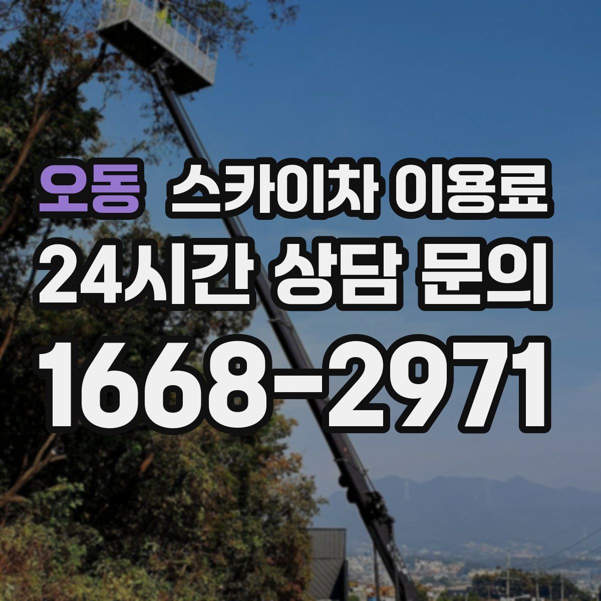 오동 스카이차 이용료
