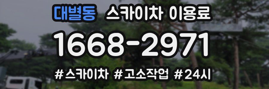 대별동 스카이차 이용료