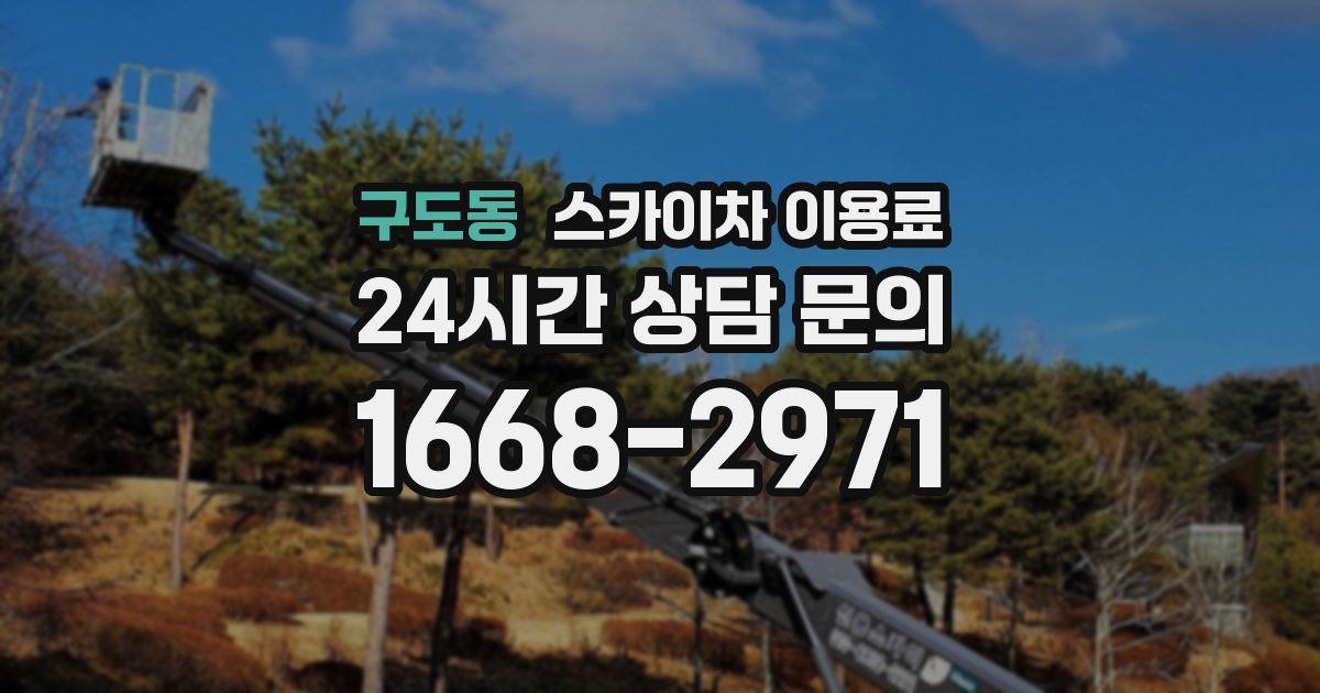 구도동 스카이차 이용료