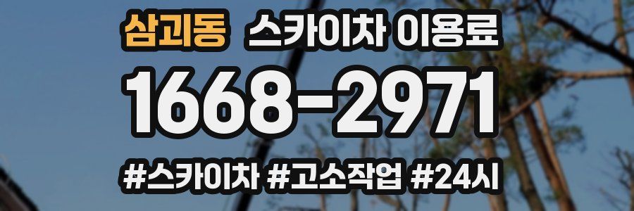 삼괴동 스카이차 이용료