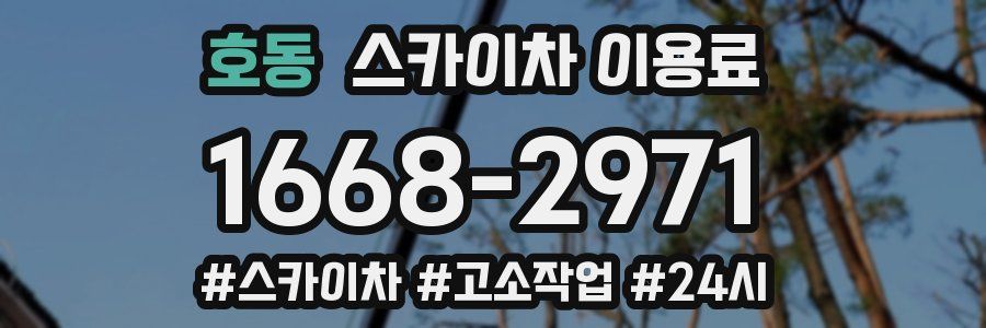 호동 스카이차 이용료