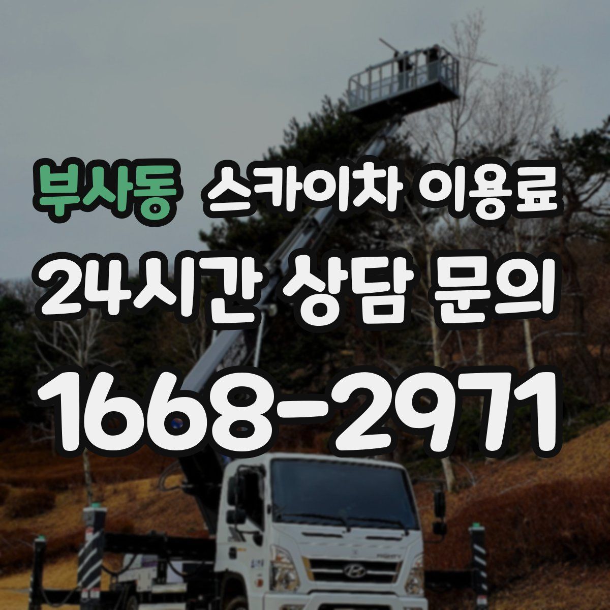 부사동 스카이차 이용료