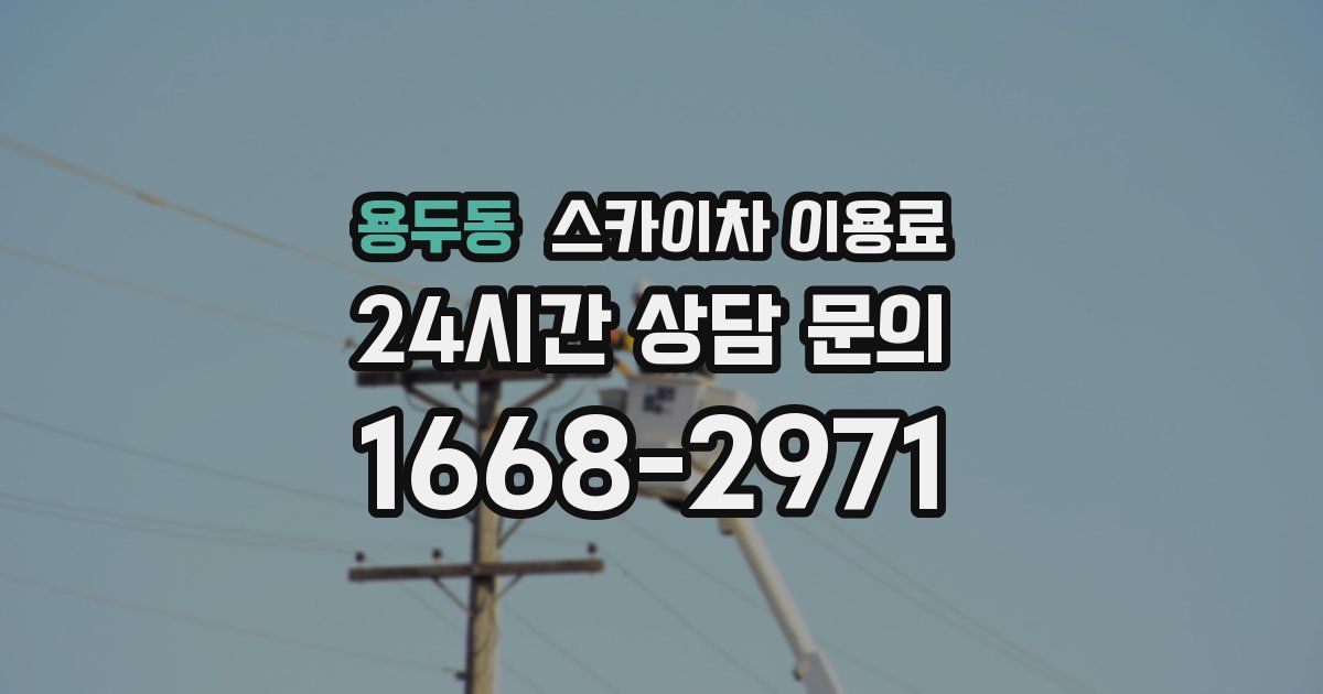 용두동 스카이차 이용료