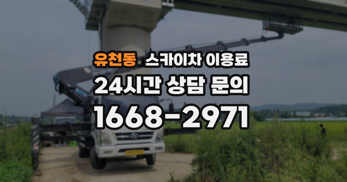 유천동 스카이차 이용료
