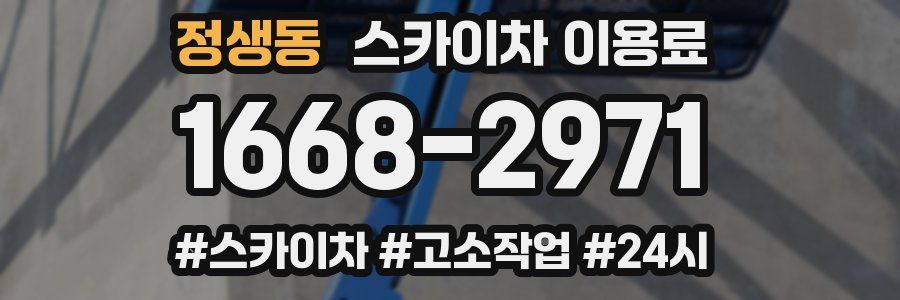 정생동 스카이차 이용료