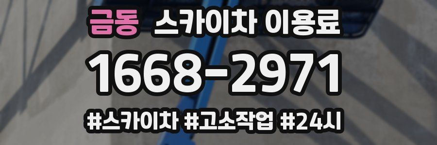 금동 스카이차 이용료