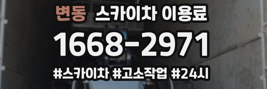 변동 스카이차 이용료