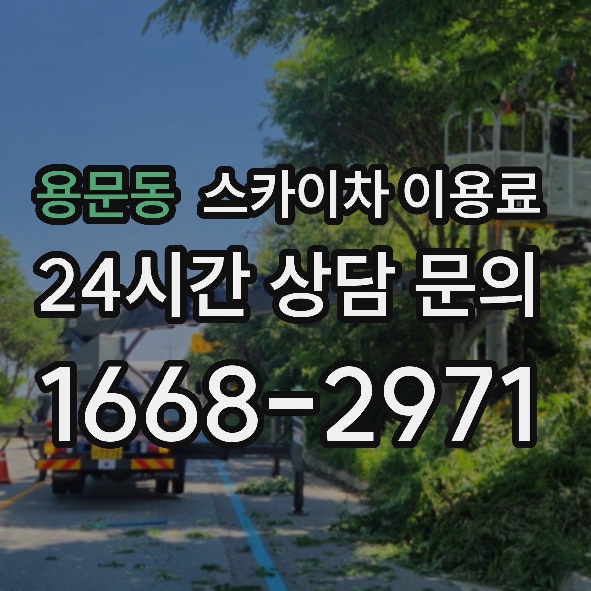 용문동 스카이차 이용료