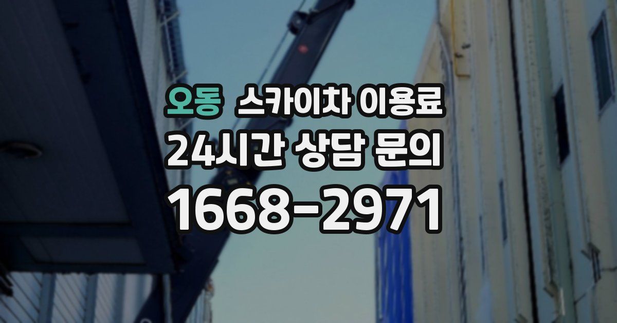 오동 스카이차 이용료