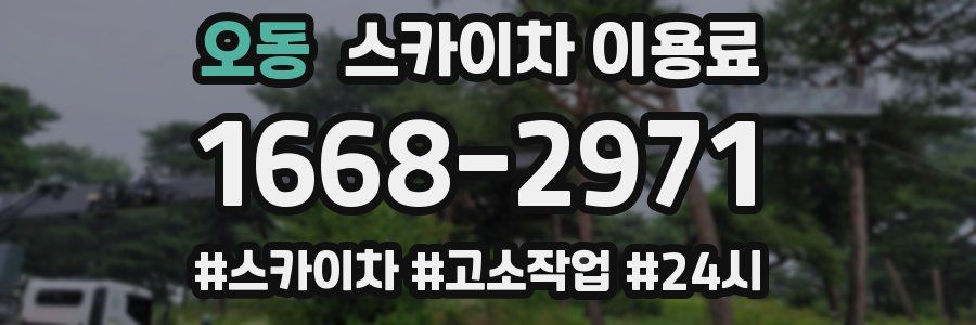 오동 스카이차 이용료
