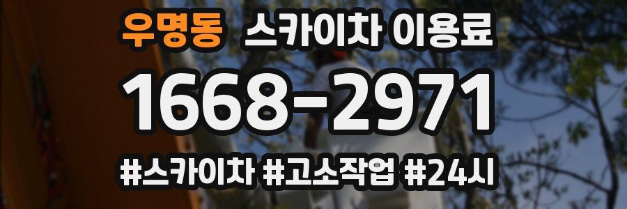 우명동 스카이차 이용료