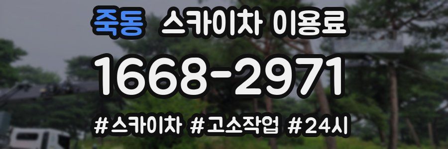 죽동 스카이차 이용료