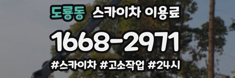도룡동 스카이차 이용료