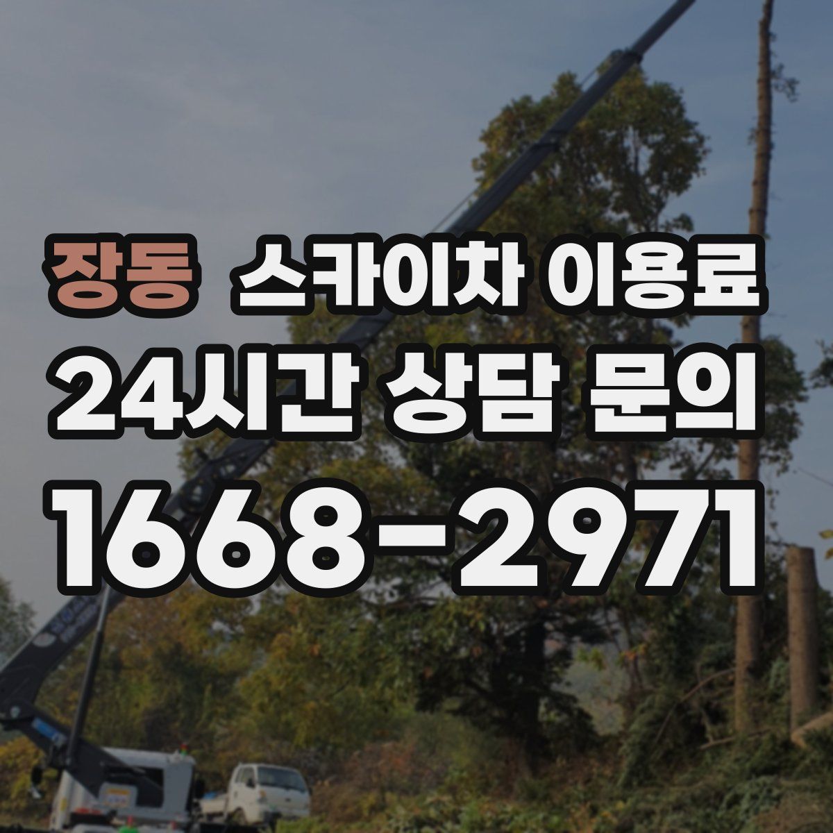 장동 스카이차 이용료