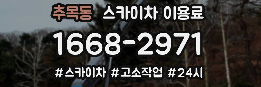 추목동 스카이차 이용료